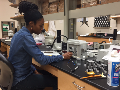 Shannon Valley, weighing samples at Georgia Tech, Fall 2016